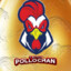 PollochanMX