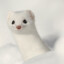 Weasel