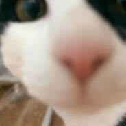 ◥◣◢◤ ZippeR |pika-pika|