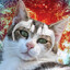 Avatar of дебилоид квадробер