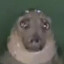 evil purb