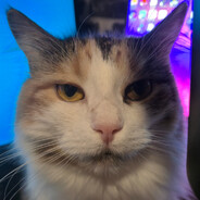 mizka avatar