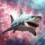 astro__shark