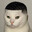 Meow Fade