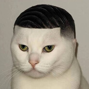 Meow Fade