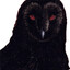nihil