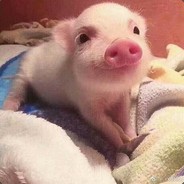 听晚风诉说你故事