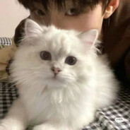 ꧁༺๑蓝羽๑༻꧂