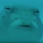123