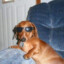 Just_buddy