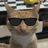 小鱼干赏金悍匪