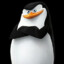 SKIPPER