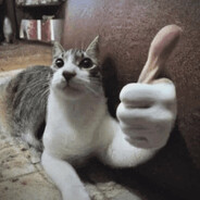 lazylowxd