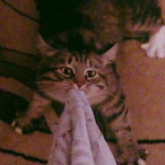 Саня Граймонд