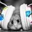 Crazy_Owiii