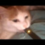 Alan