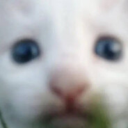 Toyki - steam id 76561198896172971