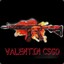 ValentinCSGO