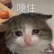 提着昨日种种千辛万苦