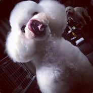 我已躺好，队友加油~