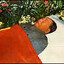 Mao Lei-Ohn