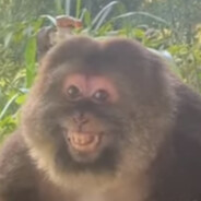 NoneK - steam id 76561198217083600