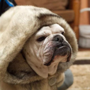 一边舔雨姐汗脚一边和