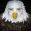 Juuso-