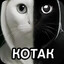 котак
