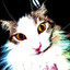 alchemicalSprout