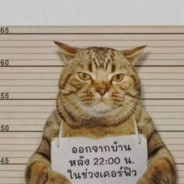 你大爷还得是你大爷