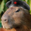 CapybaraTheBe$t