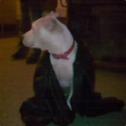ۤ - steam id 76561197960573432
