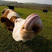 Jnsness - steam id 76561197965520554