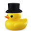 Dapper Ducky