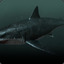 megalodon2281337