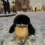 [GG]The Russian dog