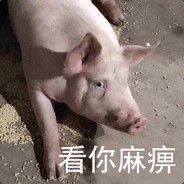 养猪场厂长