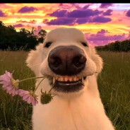 qwweeerrrrttttte(◣_◢)