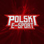 Polski E-Sport