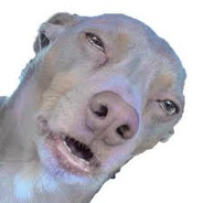 ChimDog