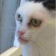 ADVOKAT