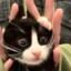 ケチャップ