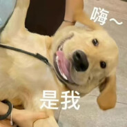 巴音布鲁克的海