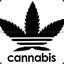 Cannabis
