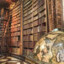 Librarian of C