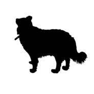 lhw avatar