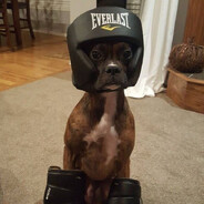 ijam.wtf??? - steam id 76561199087439729