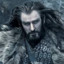 Thorin