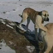 Правило Буравчик